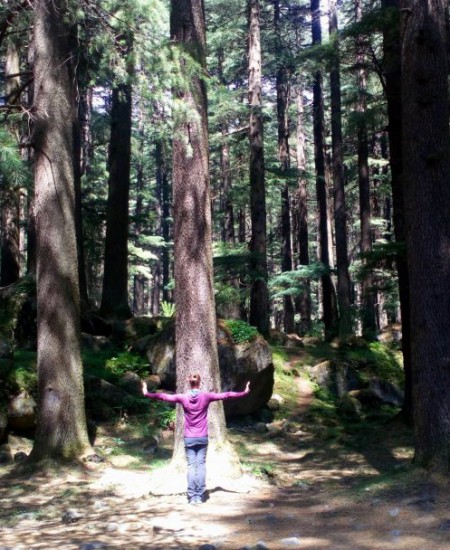 Rainbow Tai Chi & Chi Kung | Robin and Liza practice at forrest